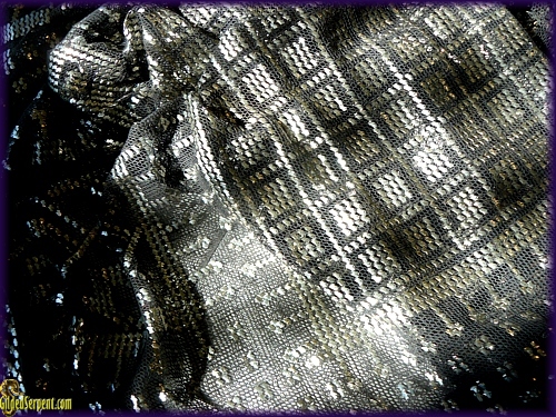 Detail of black assuit