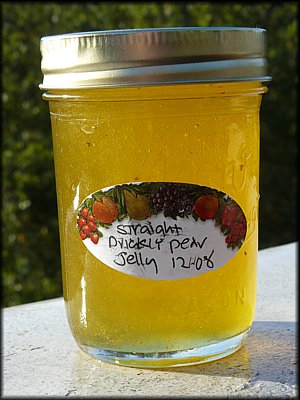 Prickly Pear Jelly