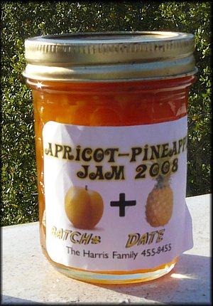 Apricot- Pineapple