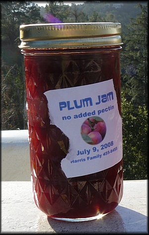 Plum