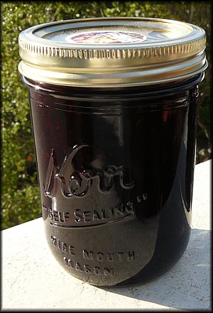 Blueberry Pom Cinnamon