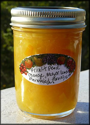 Prickly Pear Marmalade