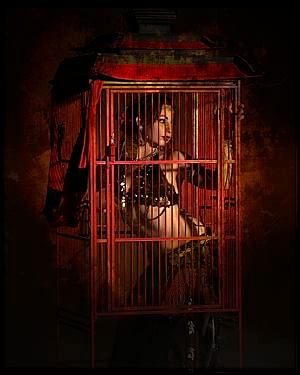 Ashley Caged